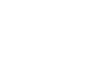 Norther star logo